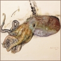 Octopus 3 - Miguel Angel Moya